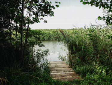 stanowisko boro 3